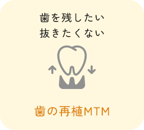 歯の再植MTM