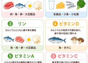 妊娠中の食事と赤ちゃんの歯｜必要な栄養素とお口の注意点