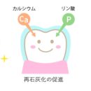 フッ素のむし歯予防効果