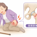 歯が少ないと骨折しやすい?高齢女性でわかった関係