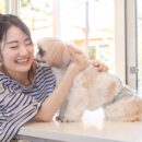 歯周病菌は家族やペットからうつる？