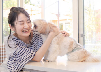 歯周病菌は家族やペットからうつる？